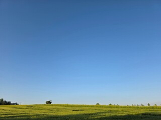 Fototapeta premium landscape with blue sky