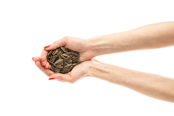 Fototapeta premium Female hand sunflower seeds on a white background isolation