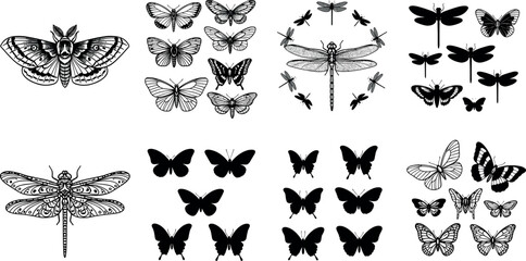 Butterfly and dragonfly silhouette collection featuring vintage insect sketches decorative wings and vector illustration elements isolated © MstTanzila