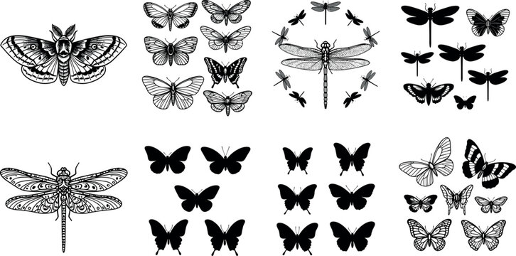 Butterfly and dragonfly silhouette collection featuring vintage insect sketches decorative wings and vector illustration elements isolated