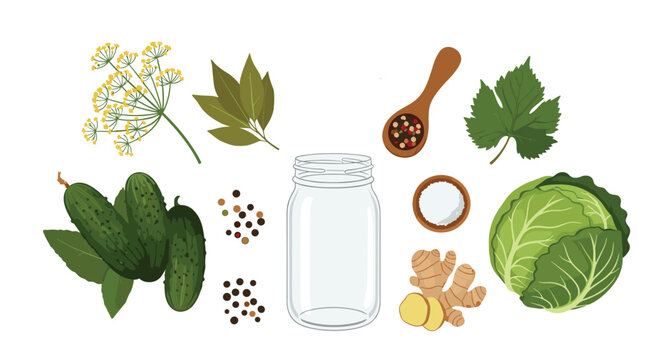Fresh ingredients for home pickling including cucumbers cabbage ginger spices and an empty glass jar on white background.
