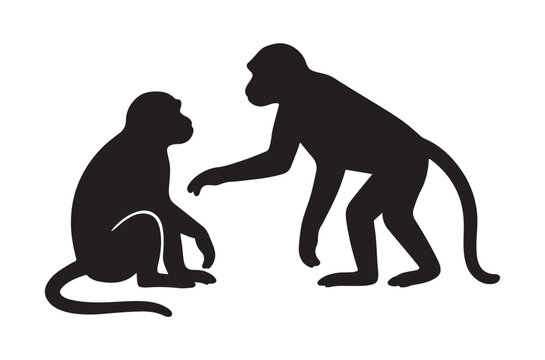 Monkey silhouettes on a white background two primates in profile