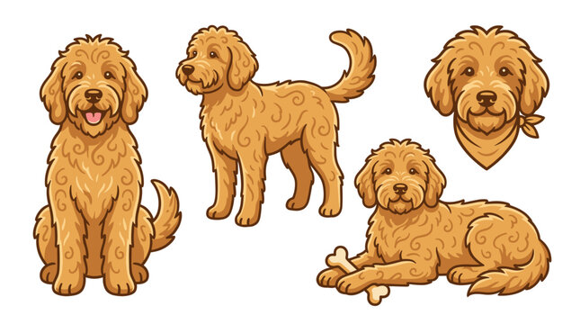 Cute cartoon goldendoodle dog vector illustration set featuring various poses including sitting, standing, and lying with a bone