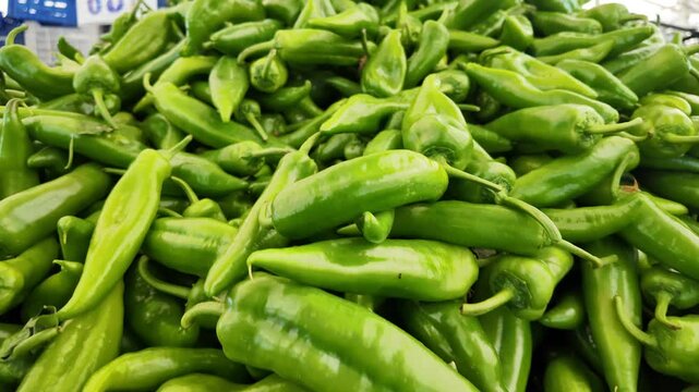 Gathering green chili peppers at a local market in fall