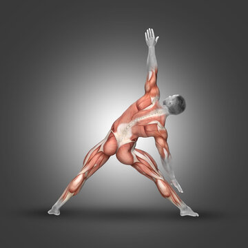 3D male figure in triangle pose