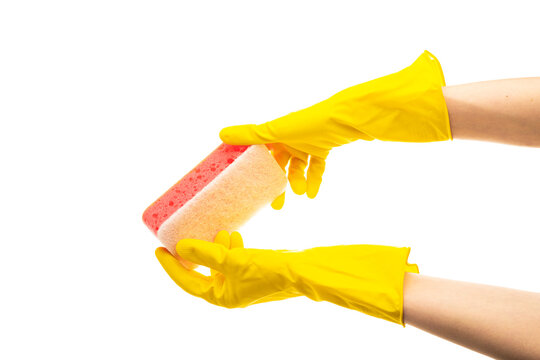 Hands up yellow rubber cleaning gloves holding sponge isolated on white background. Place for text. Professional cleaning concept