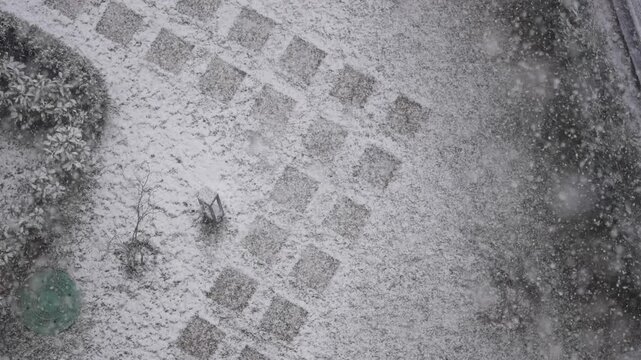 Snow covers garden with visible patterns from above