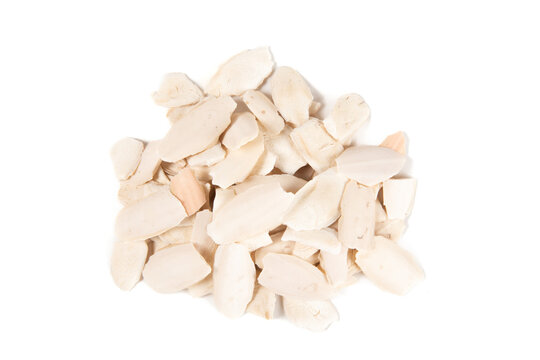 Broken cuttlefish bones providing calcium for birds