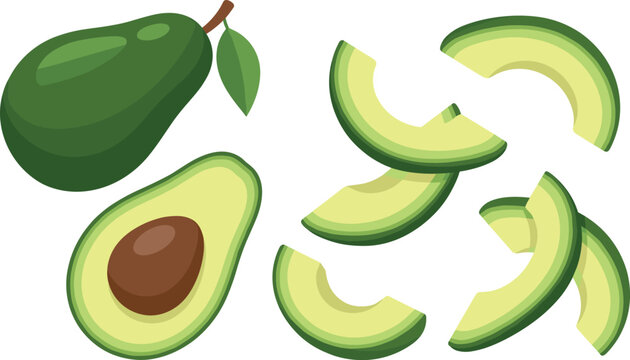 Fresh avocado vector illustration set featuring whole fruit with leaf half with seed and green slices for healthy organic food and keto diet design.