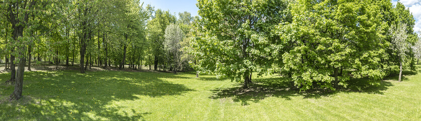 Obraz premium picturesque panoramic scenery of summer park. trees with fresh foliage on green lawn in sunny day. drone photo.