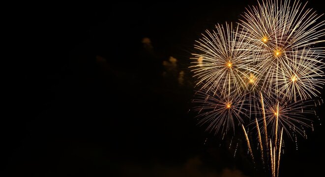 Spectacular fireworks display illuminates the night sky with golden bursts