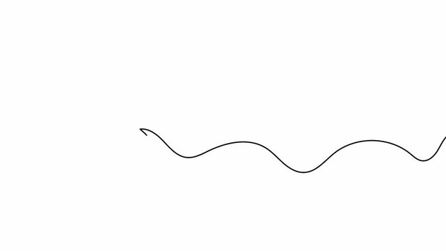Checkmark vector animation showing a single line drawing of a tick icon