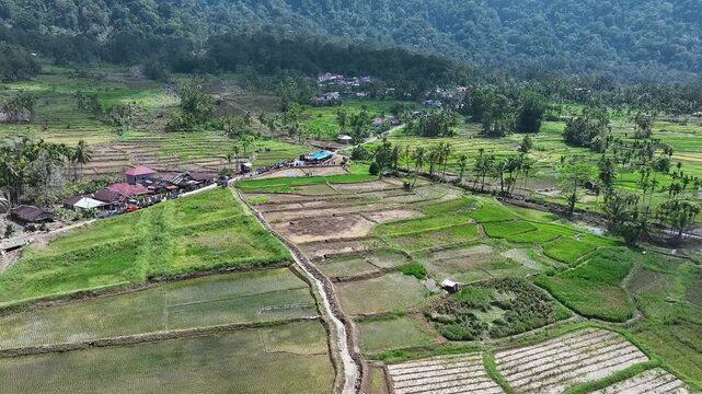 Agam Regency, West Sumatra, April 30, 2026: Aerial video of the condition of agricultural land that has been restored after the natural disaster of flash floods at the end of November 2025.