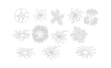 Minimalist landscape plan symbols, 12 architectural tree and plant top view icons, black and white line art vector set for garden design © M