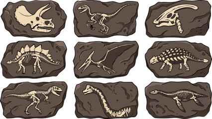 Dinosaur fossil skeleton vector illustration set featuring prehistoric bones buried in rock for archeology science museum and education school project design. © Aktarul