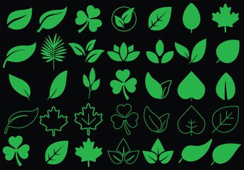 Leaf vector set, leaves silhouette designs, tropical leaf silhouettes, botanical leaves clipart, nature icons, plant graphics, foliage illustrations, decorative elements, natural patterns  © Abdullah