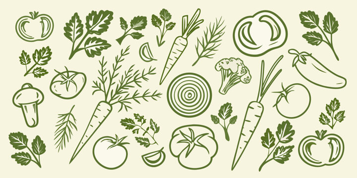 Vegetable and herb illustration hand drawn style with carrots tomatoes and leafy greens high quality