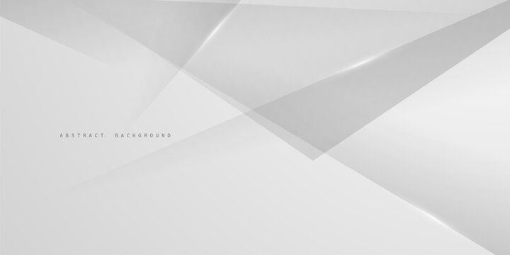 gray and white abstract background modern vector illustration
