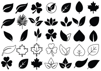 Fototapeta premium Leaf silhouettes, vector collection, diverse leaves shapes, nature elements. Ideal for eco friendly brand aesthetics, botanical illustrations, educational materials, artistic designs, decorations.