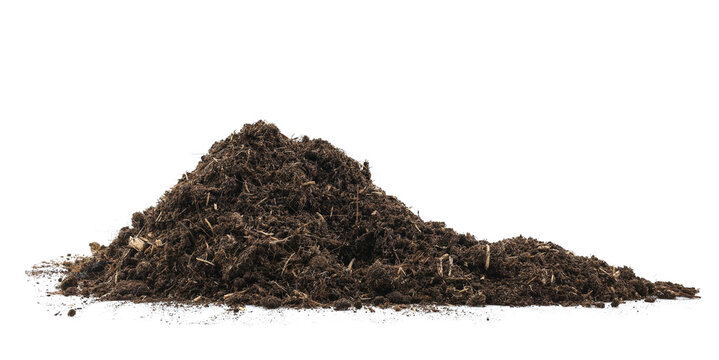 pile peat moss soil isolated on a white background. texture dirt in flowerpots for tree flower. compost dust gardening and agricultural