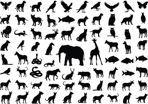 Black Animal Silhouettes on White Background
