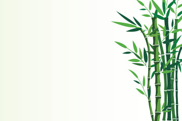 Fototapeta premium Right side bamboo plant arrangement on light green background