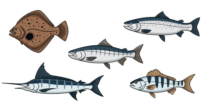 Collection of detailed fish illustrations including salmon, trout, and flounder species with realistic scales and fins on white.