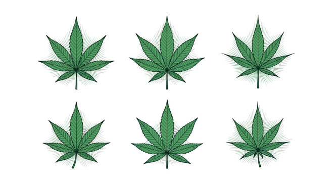 Set of green cannabis leaf icons with subtle sunburst backgrounds for medical and recreational marijuana branding and education.