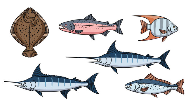 Collection of different fish species including flounder, salmon, angelfish, marlin, and trout, depicted in a detailed colored style.