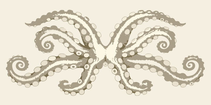 Intricate octopus illustration with symmetrical tentacles and suction cups on a beige background high quality