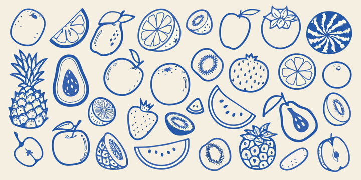 Collection of hand drawn tropical and common fruits in blue line art style high quality