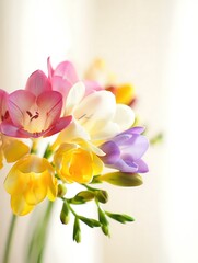 Obraz premium Vibrant spring tulips bouquet in soft light pastel colors fresh flowers arrangement minimalist background