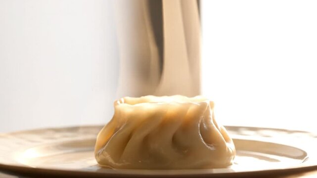 Minimal steam swirl above single dumpling isolated on white background clean food concept