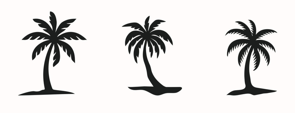 Plam tree vector illustration
