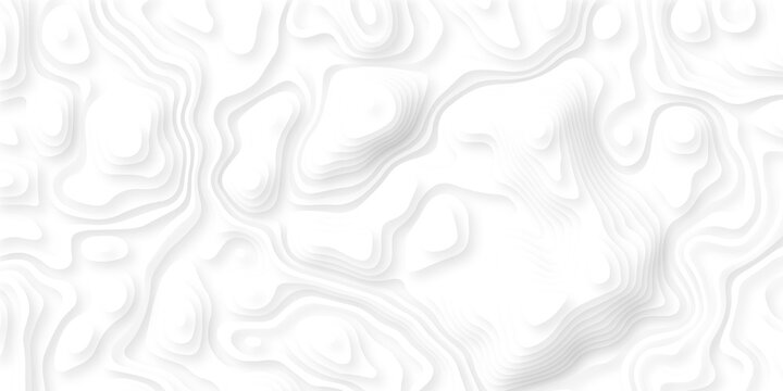 Abstract topography pattern seamless lines sea map modern design white background. Abstract digital topographic contour map concept space geometric strip grid line. Natural discovery of maps.