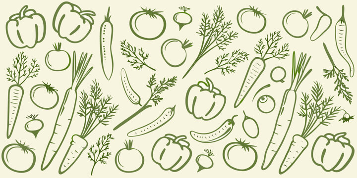 Botanical line art illustration of various vegetables and garden produce on a cream background