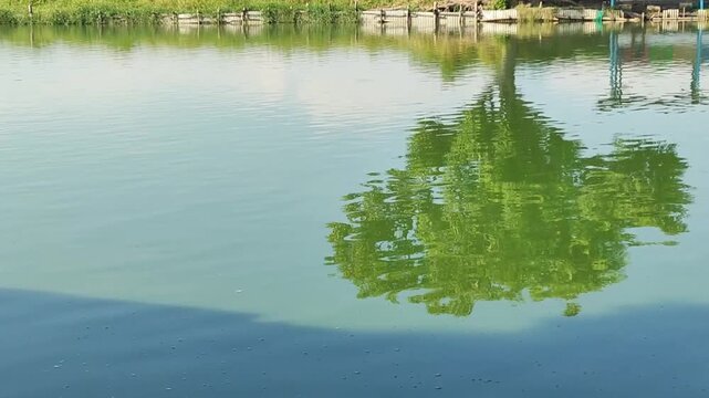 A traditional public fishpond (tambak) used as a budget-friendly recreational spot by local residents. Many people visit these ponds to enjoy their fishing hobby and unwind. 
