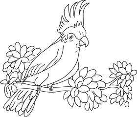 Minimalist line art illustration of a cockatoo parrot perched on a flowering branch. © Anika Akhter