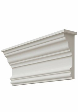 Elegance in Shadow and Light