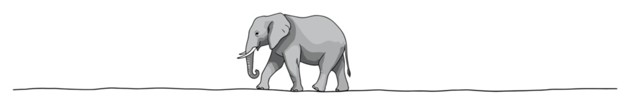 Large gray elephant walking forward on a simple ground line for nature themed education projects
