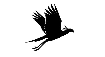 Obraz premium Black silhouette of flying eagle 1.