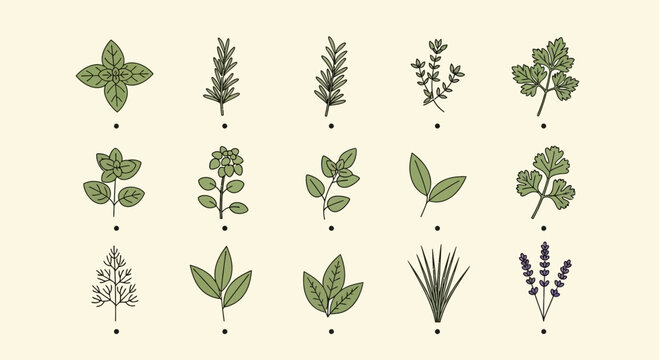 Illustrated herbs and leaves collection on cream background vector graphic