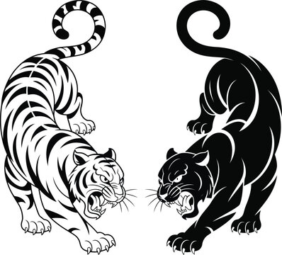 Engraving style tiger and panther illustration featuring detailed wildlife portraits for vintage tattoo art, animal branding, and classic engraving design visuals.