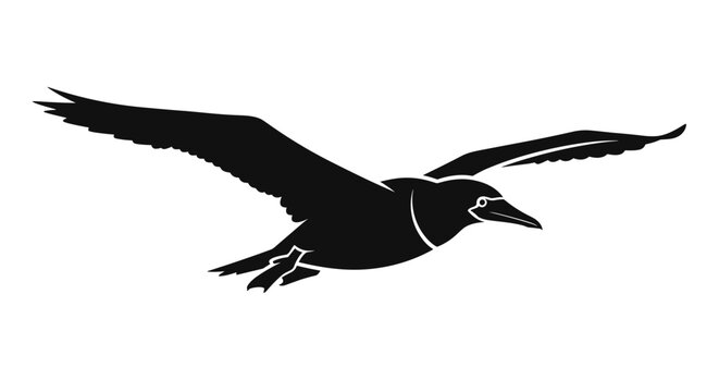 Black bird in flight silhouette 1.