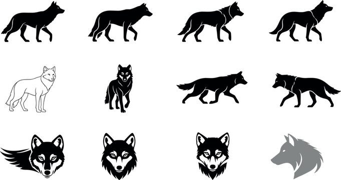 Vector Illustration of Walking Wolves, Wolf Faces, Silhouettes, and Logo Designs in Black and White