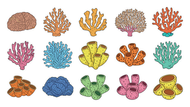 Colorful coral and sponge collection for marine life studies and aquatic themed projects