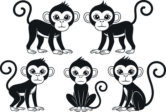 Cute monkey characters set in black and white with different poses and expressions isolated cartoon vector illustration collection