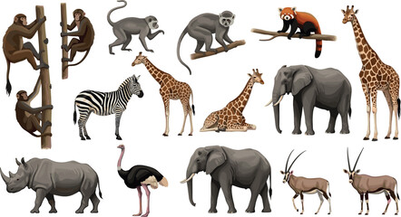 African animals collection with monkey giraffe zebra elephant rhino ostrich and antelope in realistic style isolated vector illustration © Rumi