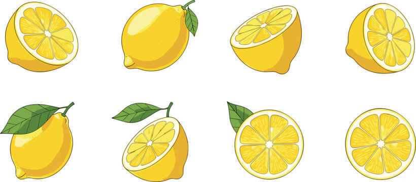 Fresh lemon vector illustration set, whole and sliced citrus fruits with leaves for food, beverage, and healthy lifestyle design