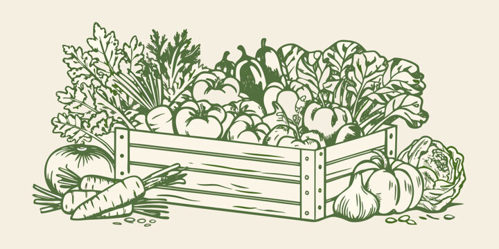 Wooden crate overflowing with fresh produce including tomatoes carrots and leafy greens illustration high quality